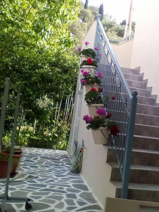 דירות סיבוטה Elen'S House מראה חיצוני תמונה